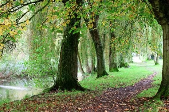 Winnall Moors Nature Reserve