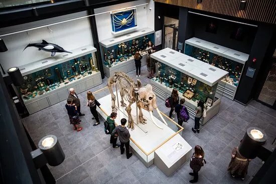 The Cole Museum of Zoology
