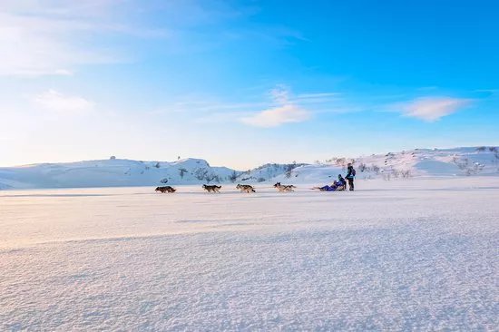 Husky Tours By Snowhotel Kirkenes