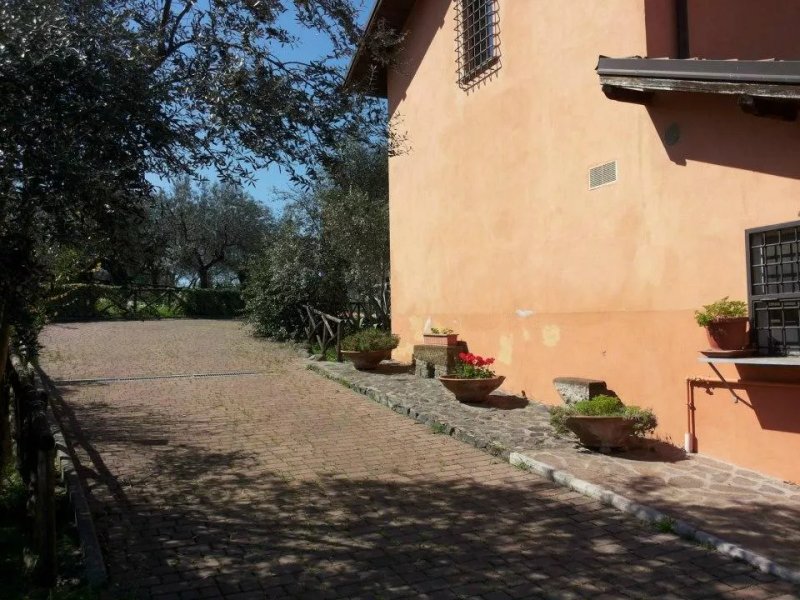 Antica Campana