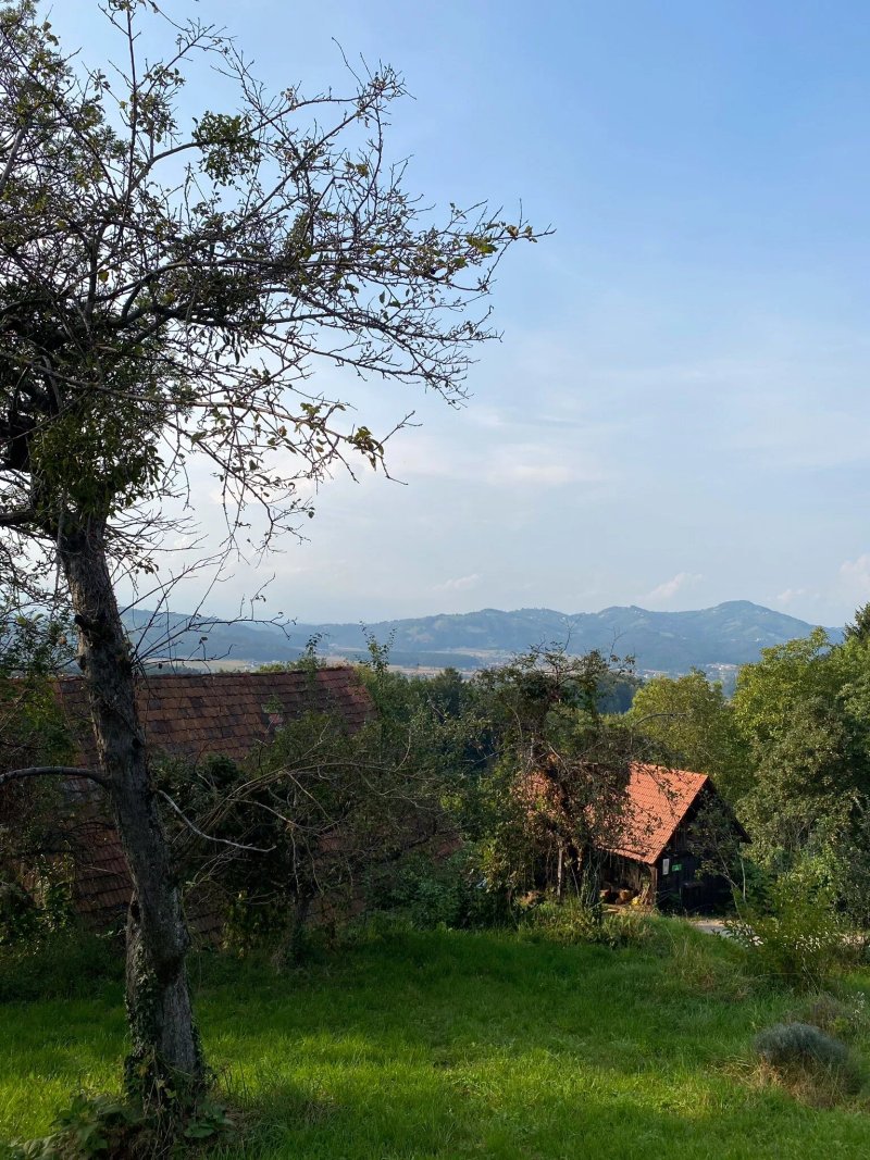 Weingut Pugl