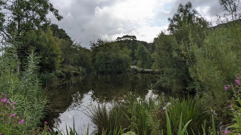 The Tarn
