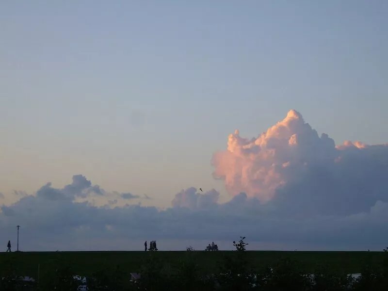 FEWO2 for families, also with a dog, view of the dike and a short walk to the