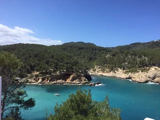 Port de Sant Miquel