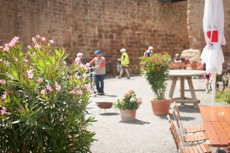 Burg-Restaurant Steinsberg