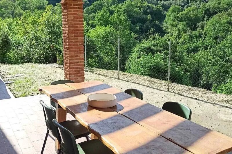 Casa Formentale: a cozy apartment in Tuscany farmhouse surrounded by olive trees