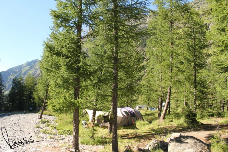 camping foret les Melezes