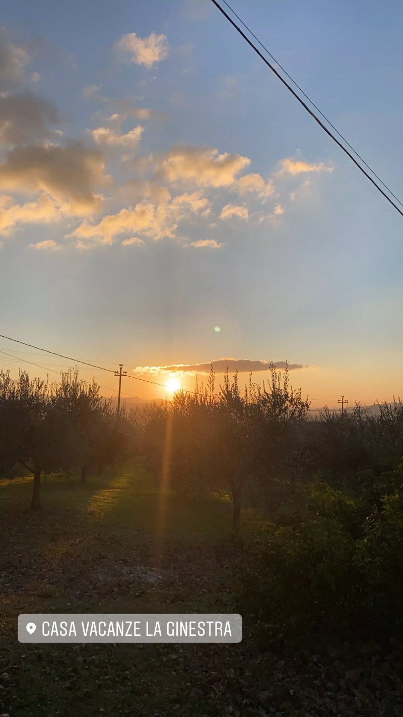 Casa Vacanze La Ginestra