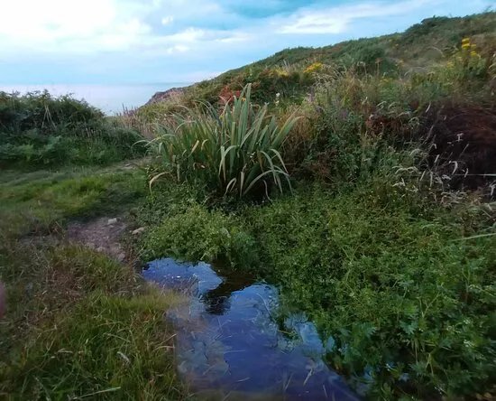 St. Degan's Chapel & Holy Spring