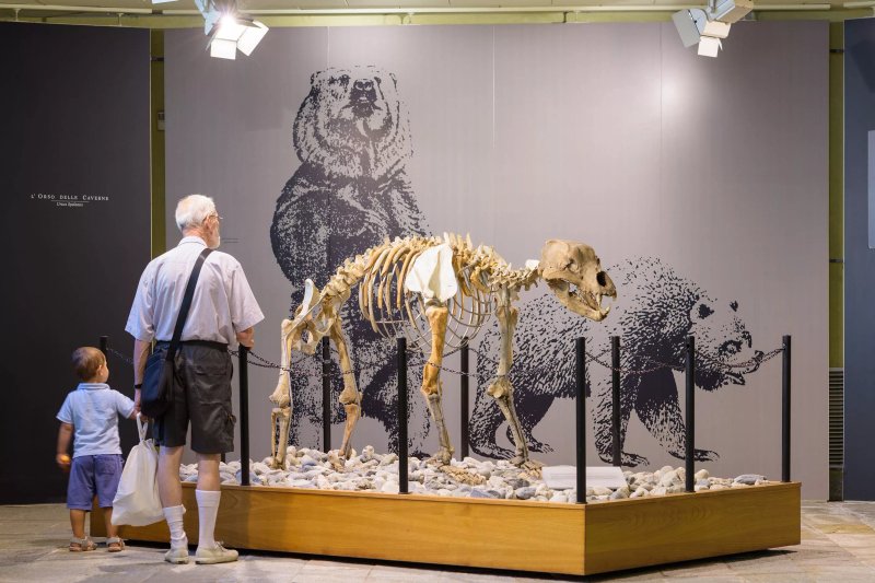 Museo di Archeologia e Paleontologia "Carlo Conti"