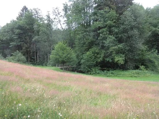 Feng-Shui-Kurpark