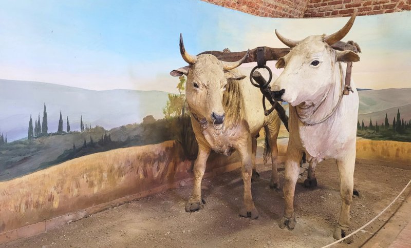 Museo di Storia dell'Agricoltura