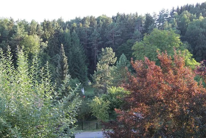 Apartment a. d.Burg. Nature and tranquility