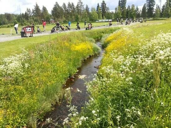 Skelleftea Golf Course
