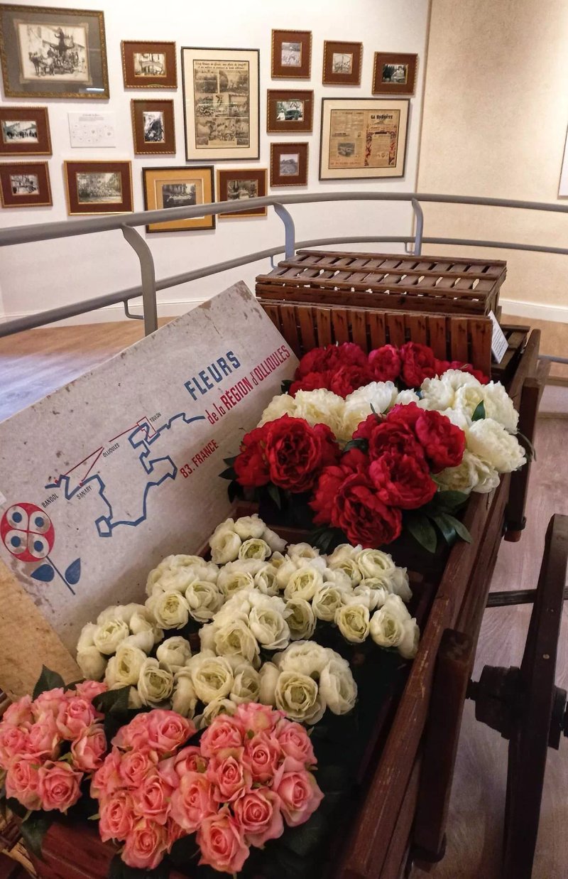 Musee De La Fleur D'ollioules