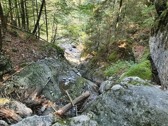 Reichenbachklamm