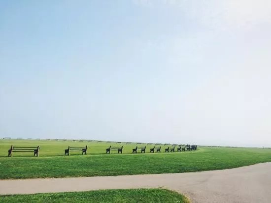 Land Train