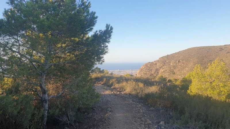 Mirador del Mingrano