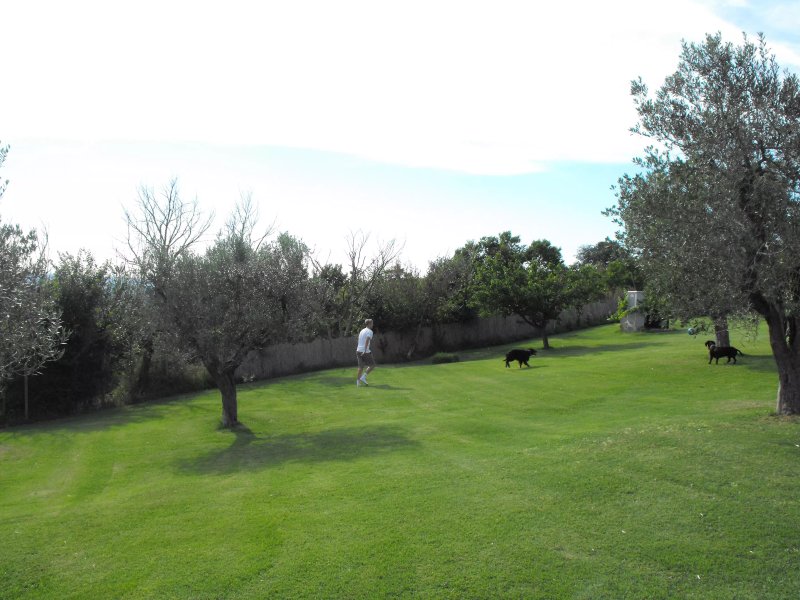 Poggio della Volara