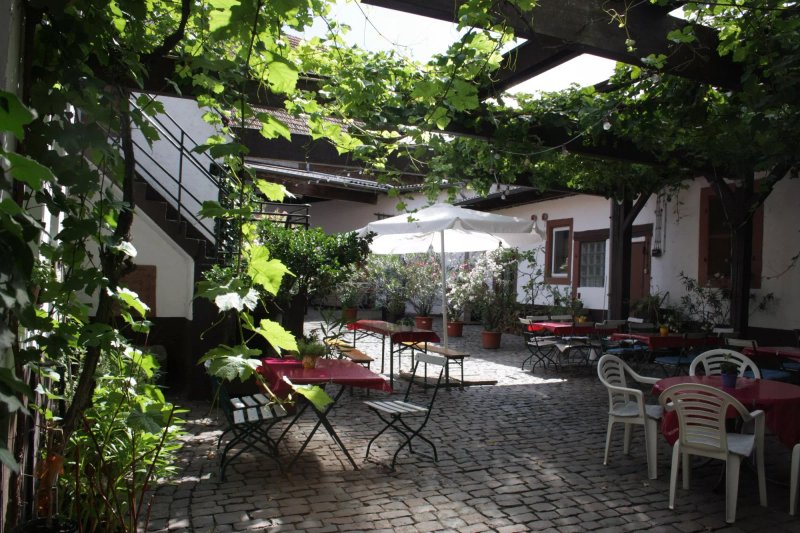Weinwirtschaft Schneiderfritz