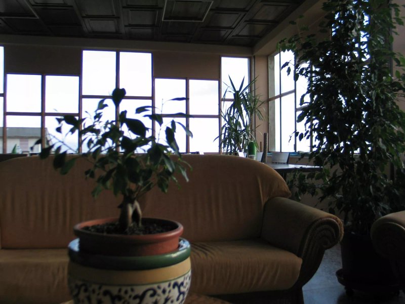 Hotel Bed & Breakfast Minu'