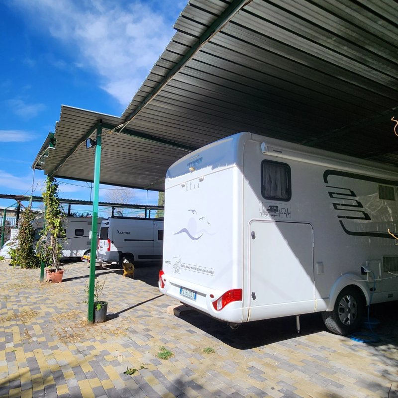 Ippocamper