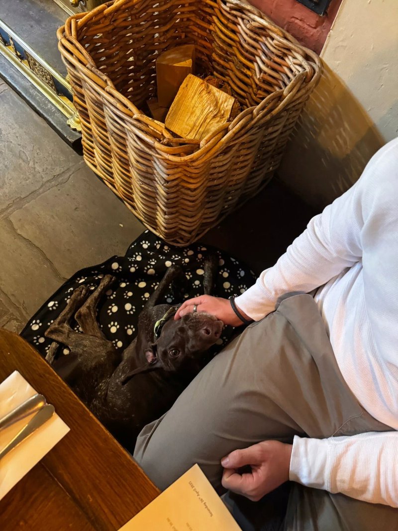 The Swan at Tarporley