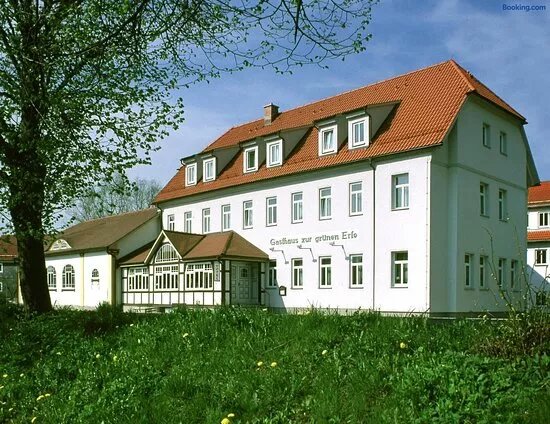 Zur grunen Erle