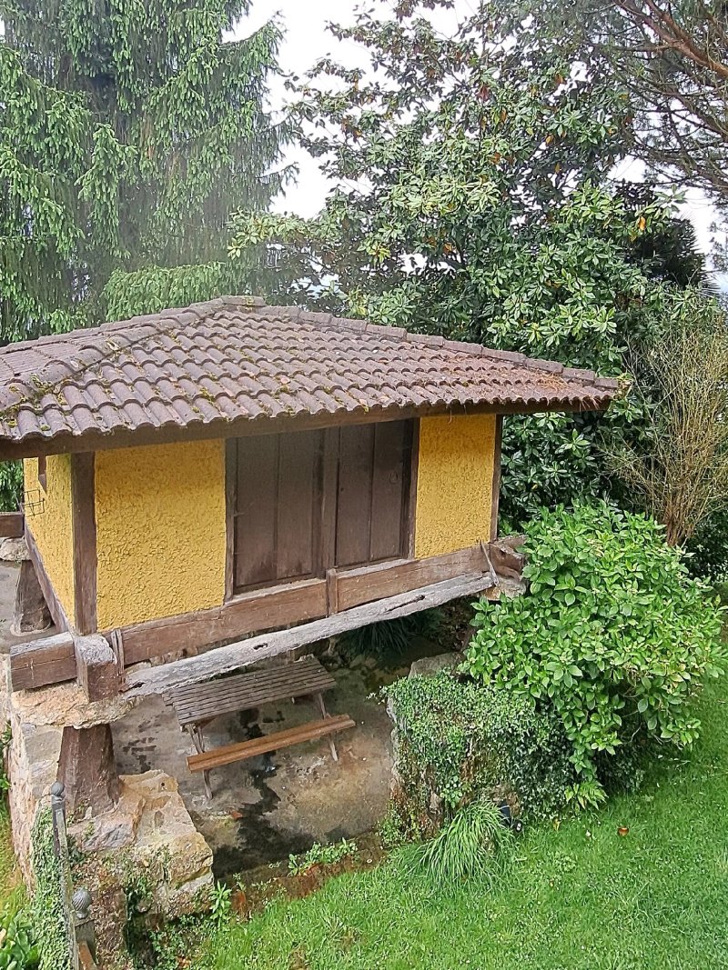 El Trebano