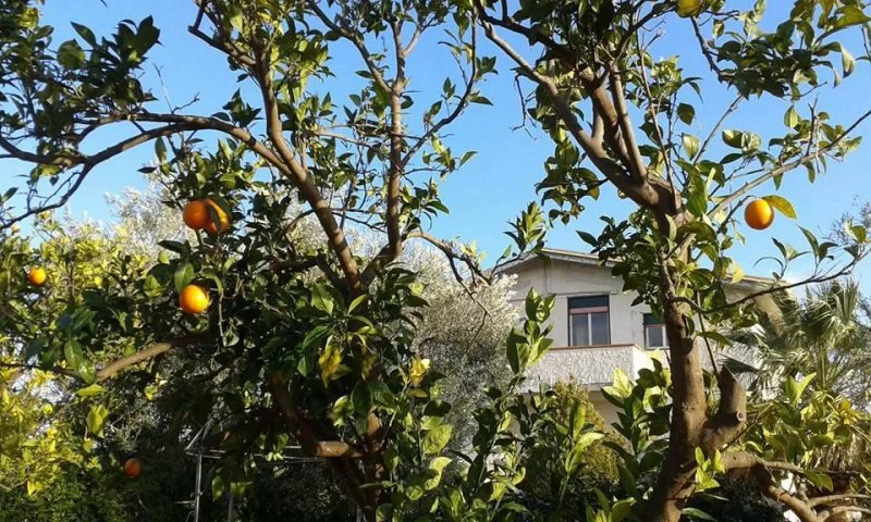 B&B Golf Club San Pablo