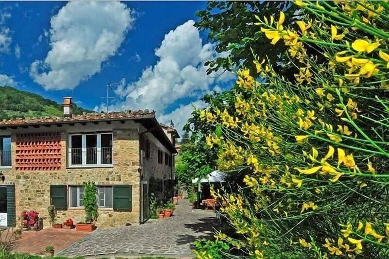 Beautiful Eco-Friendly Farmhouse with gorgeous montain view!