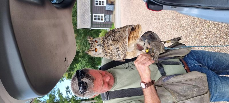 North Devon Falconry