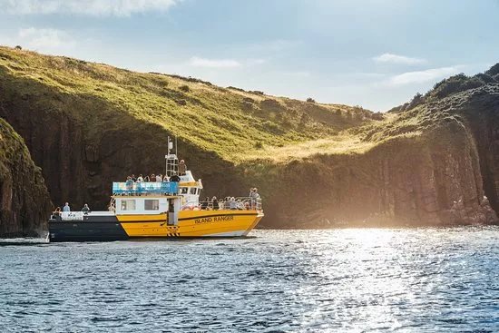 Tenby Boat Trips