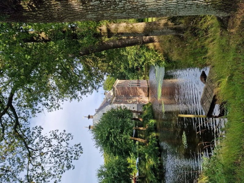 Koffie en Theeschenkerij De Oldenhof