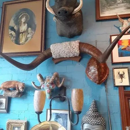 Eco Chic Interiors