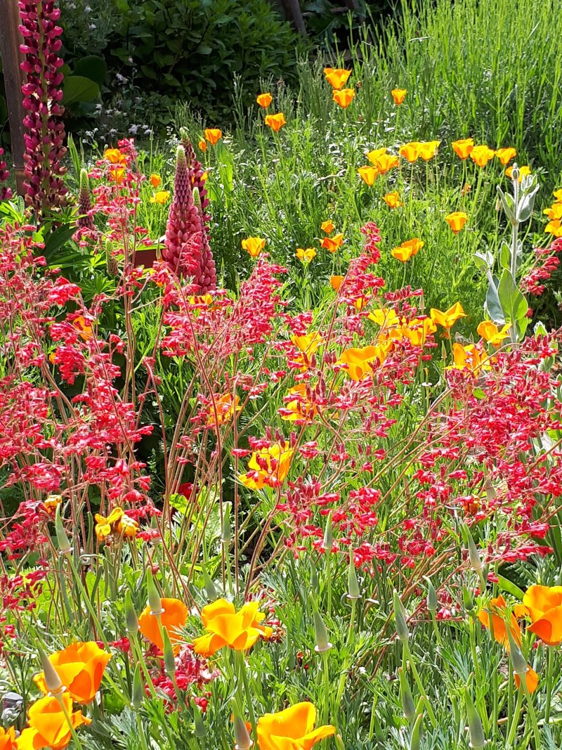 Au Jardin Fleuri en Alsace