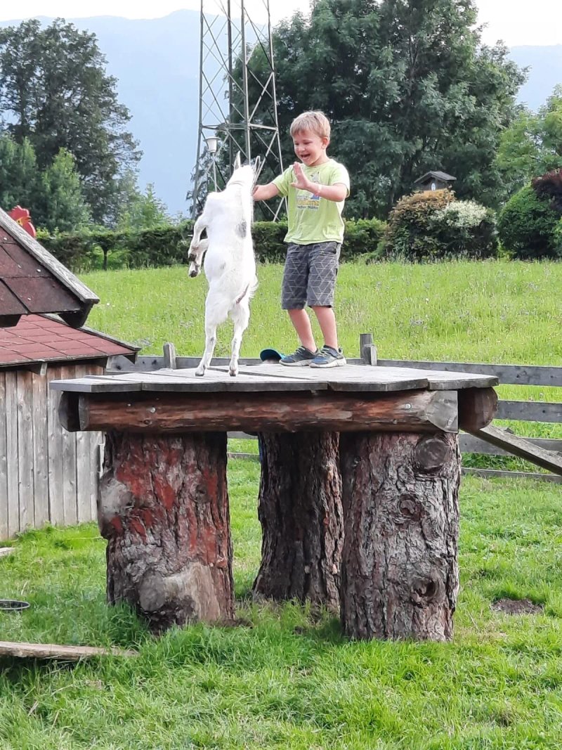 Landhaus Holle