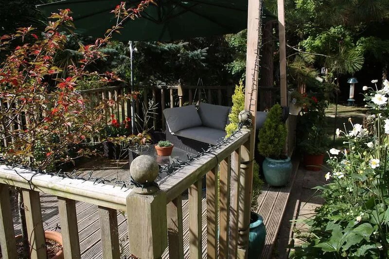 Cottage in beautiful location - Dog friendly (cosy and tranquil)