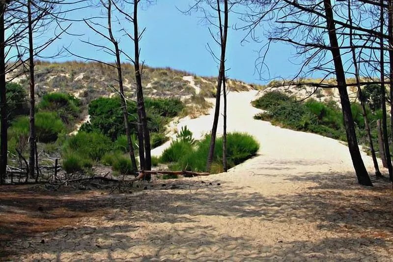 Longarisse independent villa close to the lake