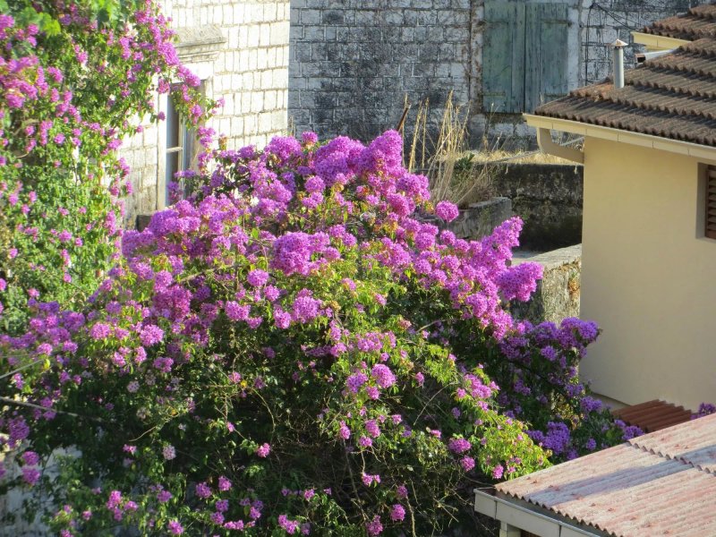 Apartmani Kovacevic
