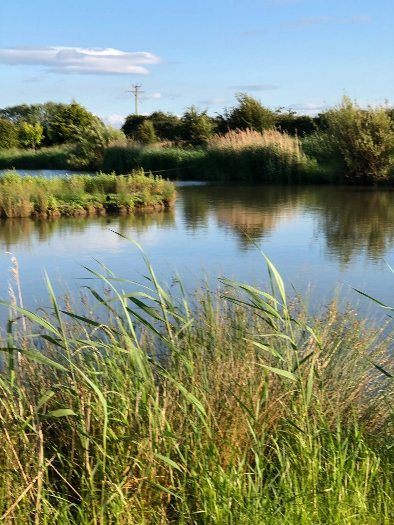 Willow Tree Farm Adult Only Caravan Site
