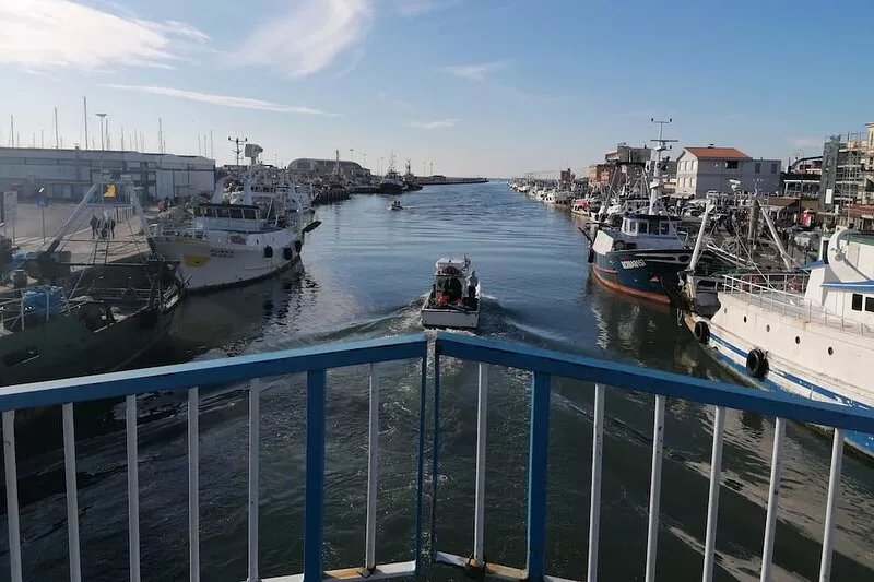 A little paradise in the heart of Fiumicino residential area free from pollution