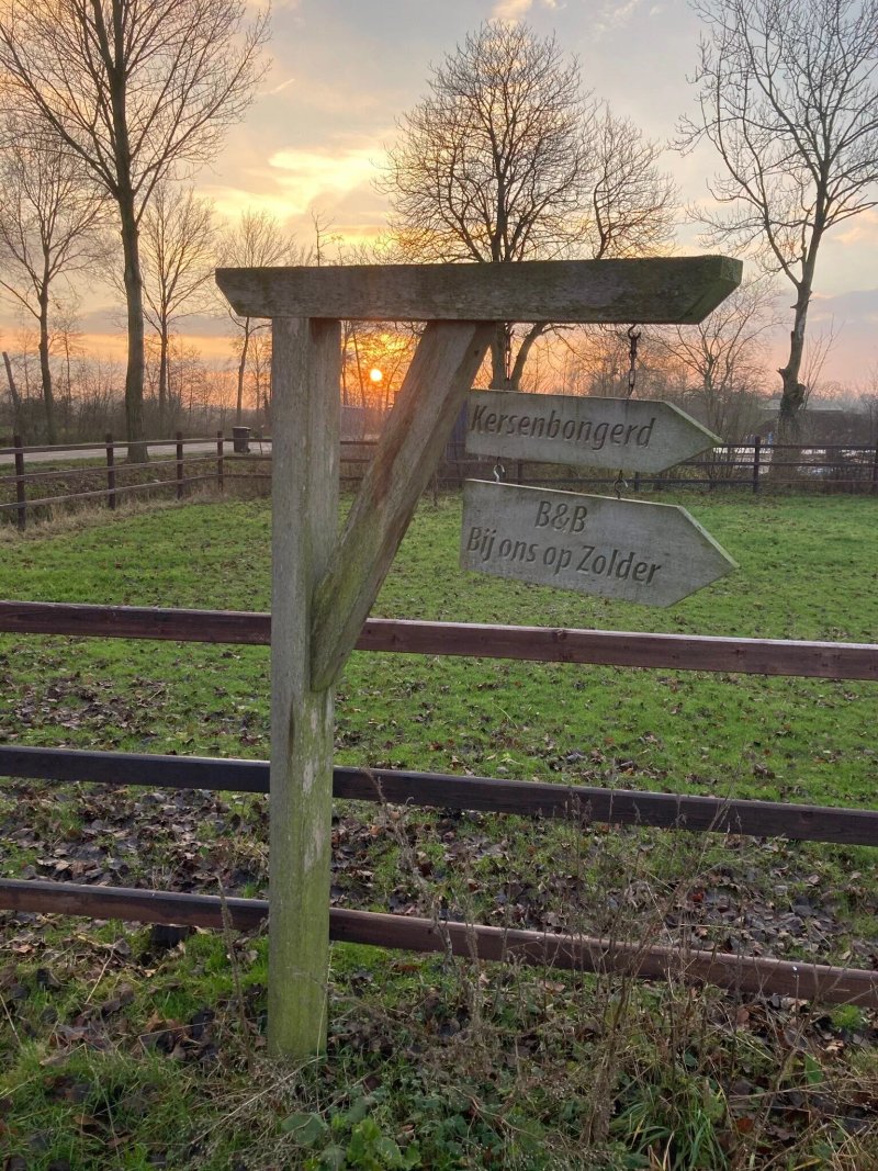 B&B Steltenberg