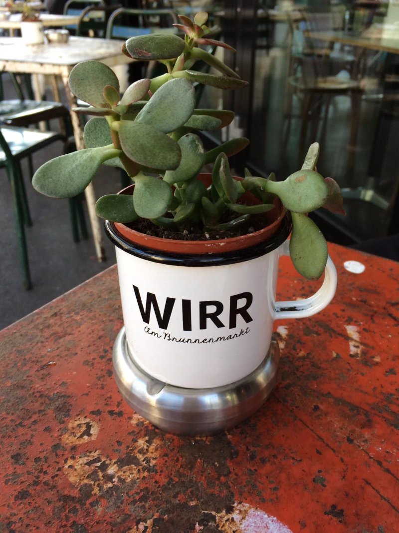 Wirr am Brunnenmarkt