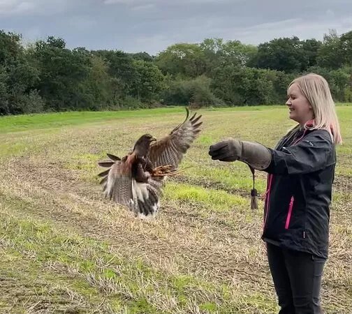 Battlefield Bird of Prey Centre