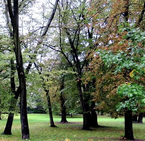 Park Stanislawa Moniuszki