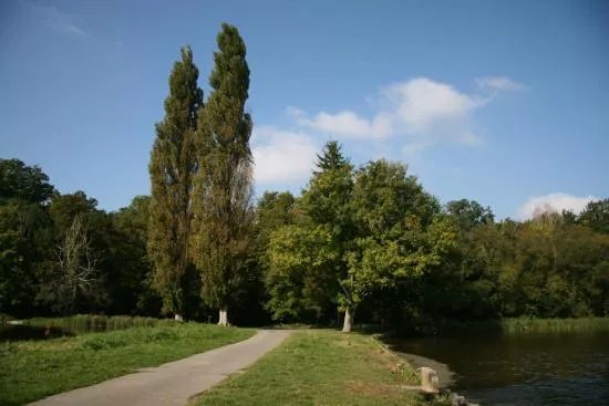 Les Etangs de Saint Pierre