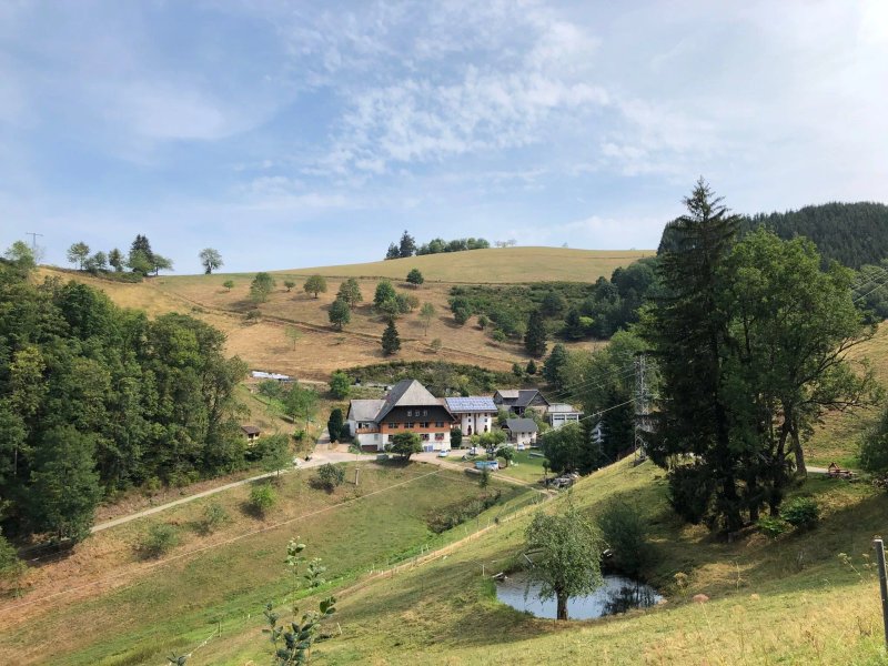 Nockenhof