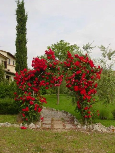 Ristorante alla Pieve Enoteca