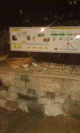 Museo del Neolitico